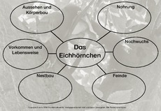 Mindmap-Eichhörnchen-E.pdf